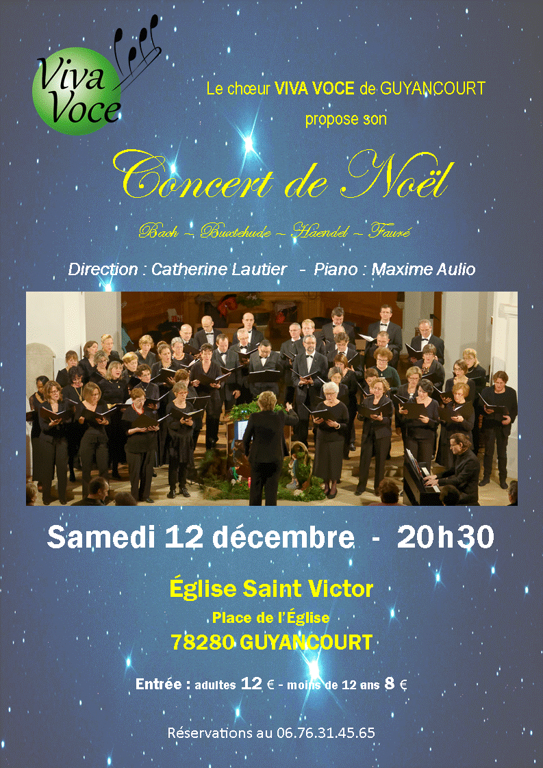 Affiche Noël 2015 - Guyancourt - 2